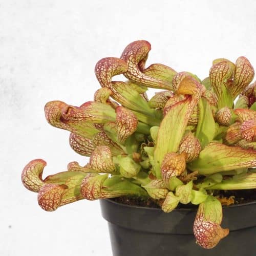 f5sQ5SSIpiiOqwG3IfC9.jpg f5sQ5SSIpiiOqwG3IfC9.jpg