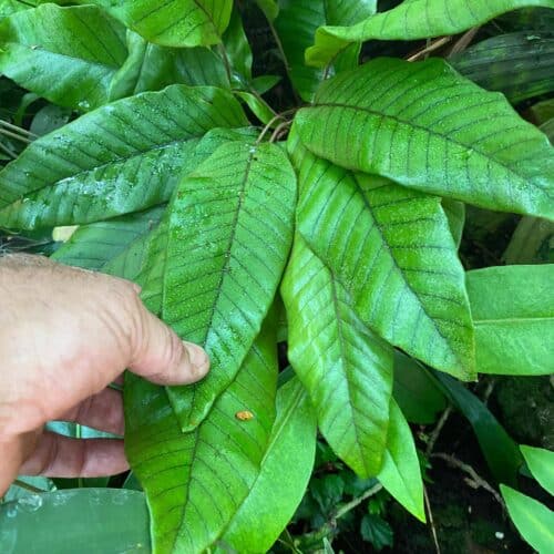 fBCmQEo0o4S5dSQ5EhSI.jpg fBCmQEo0o4S5dSQ5EhSI.jpg