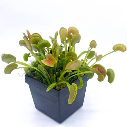 fNCyd2dlr6Far3NuG0iJ-1.jpg fNCyd2dlr6Far3NuG0iJ-1.jpg