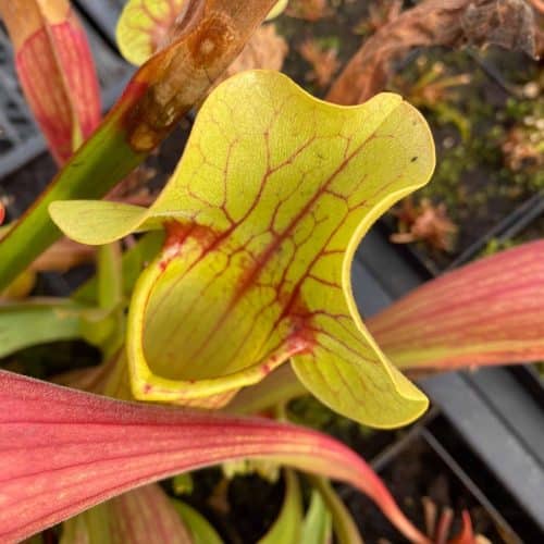 fSx7Fobof8HQqATMznEr.jpg fSx7Fobof8HQqATMznEr.jpg