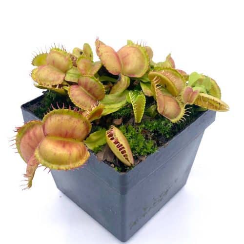 fdEQtsIRWE9qBtwBdhVz-1.jpg fdEQtsIRWE9qBtwBdhVz-1.jpg