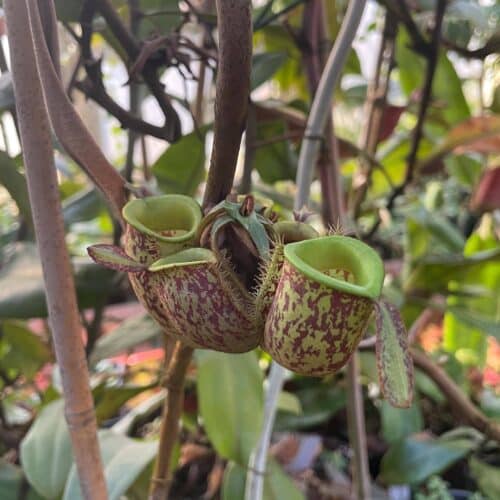 g2ADeiHdYPhz8r0JHMD9.jpg g2ADeiHdYPhz8r0JHMD9.jpg