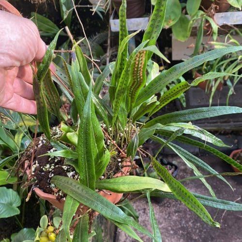 gDtY5nUlKgpb1KOp0Yxn.jpg gDtY5nUlKgpb1KOp0Yxn.jpg