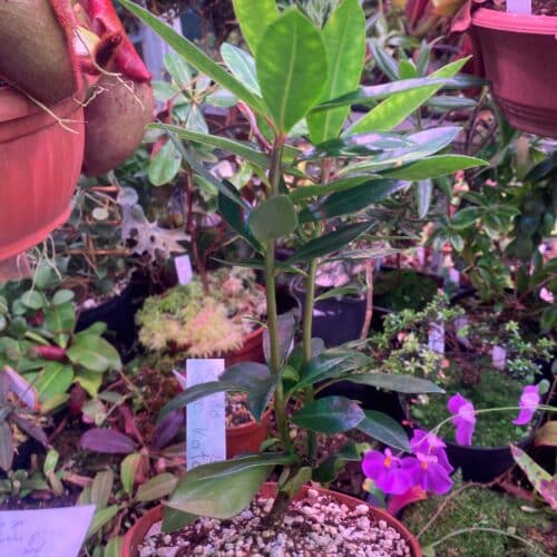 gHSS62GMfDpoCN7DrzGL.jpg gHSS62GMfDpoCN7DrzGL.jpg