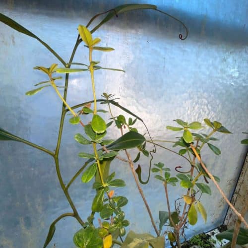 gNP4wHB3qbqig3ScqHHK.jpg gNP4wHB3qbqig3ScqHHK.jpg