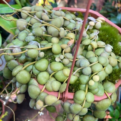 gOjJ0Dtgcm703WFVW8P5.jpg gOjJ0Dtgcm703WFVW8P5.jpg