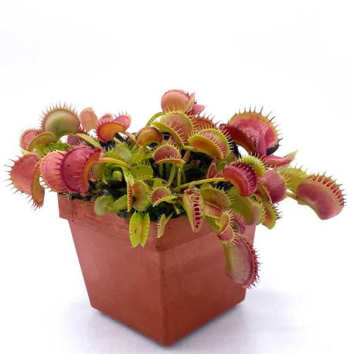 gTcepSoyf6pnTdMyc0J8.jpg gTcepSoyf6pnTdMyc0J8.jpg