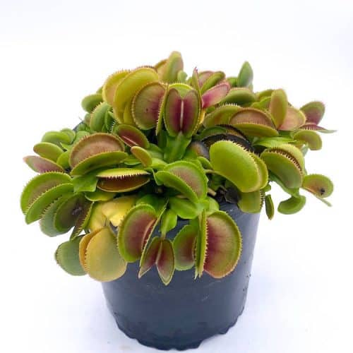 gUd3Bf1nxOsdT33M00Nj-1.jpg gUd3Bf1nxOsdT33M00Nj-1.jpg