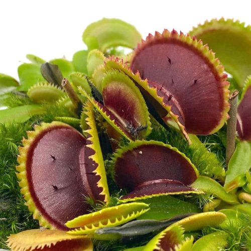 gedLPdnxUOZTEbDlFzTy.jpg gedLPdnxUOZTEbDlFzTy.jpg