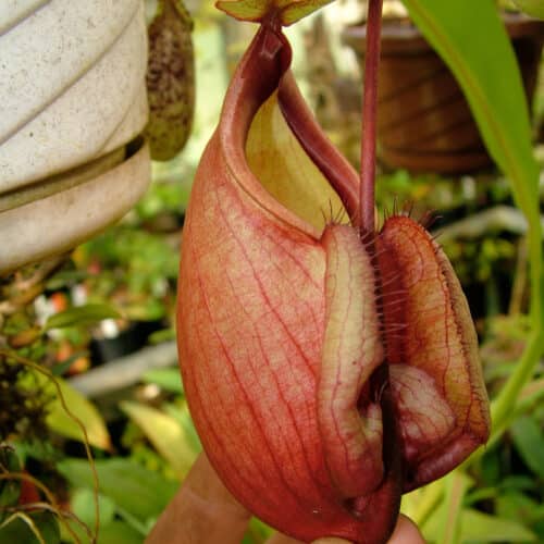 giLhu64AcIKo92UdwNyD.jpg giLhu64AcIKo92UdwNyD.jpg