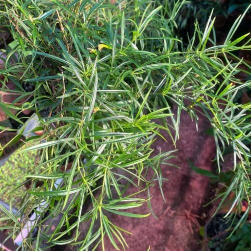 gz2lM0ZHRu36p6S3p1Ee.jpg gz2lM0ZHRu36p6S3p1Ee.jpg