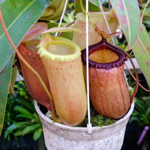 h4BSzNs11WRiONvliW0O.jpg h4BSzNs11WRiONvliW0O.jpg