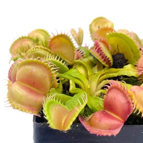 hVr5TcKaBqZmOkbWBRAU-1.jpg hVr5TcKaBqZmOkbWBRAU-1.jpg