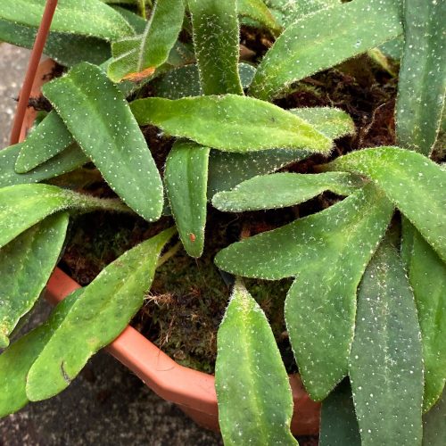 hXxHfYimpHTXMBiEj2kh.jpg hXxHfYimpHTXMBiEj2kh.jpg