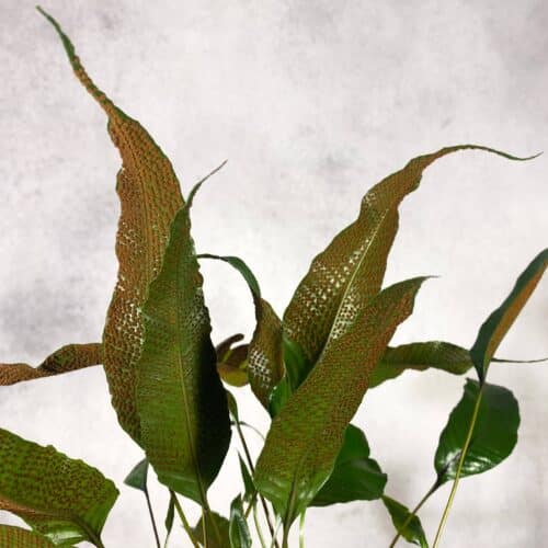 haHwBfk0qcbPsF9FzHEW.jpg haHwBfk0qcbPsF9FzHEW.jpg