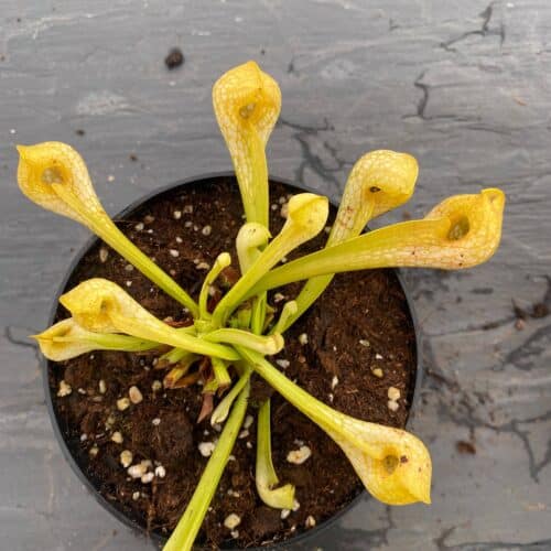 hpdtSMVGZFv9A2KZNsXW.jpg hpdtSMVGZFv9A2KZNsXW.jpg