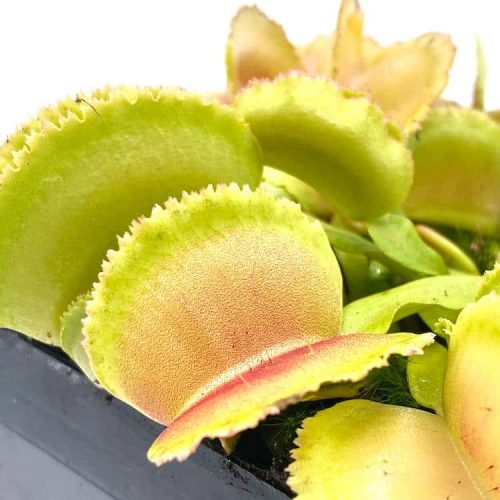 hrbf6DbMtMn05d6uMVqA.jpg hrbf6DbMtMn05d6uMVqA.jpg