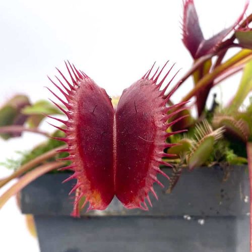 hue6aBFbgu7WllsTwTVe.jpg hue6aBFbgu7WllsTwTVe.jpg