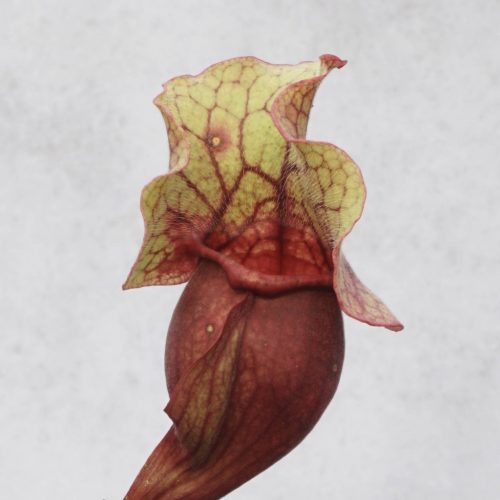 hyYBM18lpJjAhrxNij6J.jpg hyYBM18lpJjAhrxNij6J.jpg