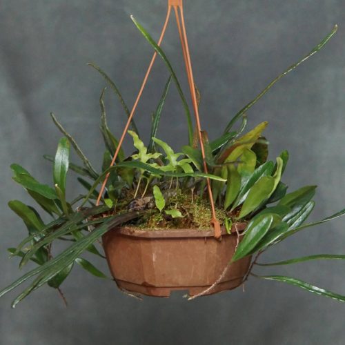 i3hk5WXfuqoJhoUUyLjR.jpg i3hk5WXfuqoJhoUUyLjR.jpg