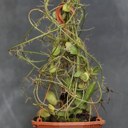 i5VuE4k0ZGVeIUl4R4XT.jpg i5VuE4k0ZGVeIUl4R4XT.jpg