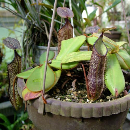 iDn6Iw4S5JJcqLIdxCCK.jpg iDn6Iw4S5JJcqLIdxCCK.jpg