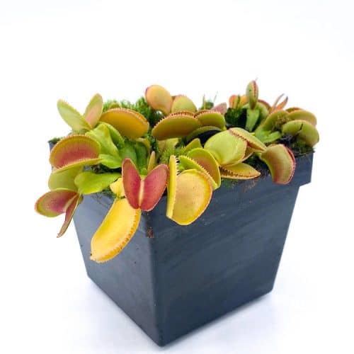 iTpdU71dbbkJo2BoeujG.jpg iTpdU71dbbkJo2BoeujG.jpg