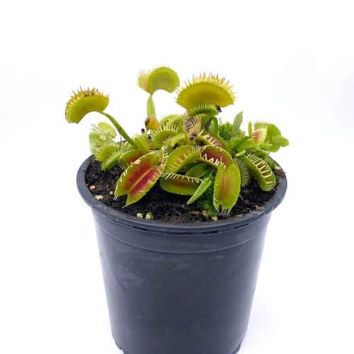 iXg0EKy0pXOpAnKfyE0D.jpg iXg0EKy0pXOpAnKfyE0D.jpg