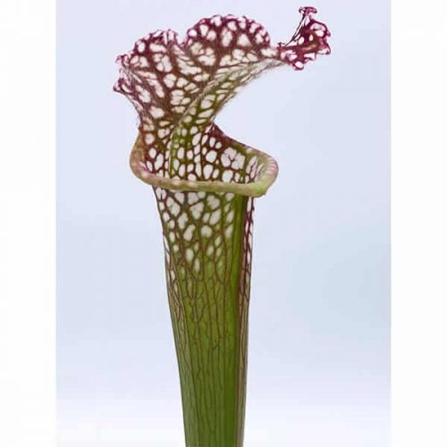 ibqi0xQVx9Zn0NmqDlNL.jpg ibqi0xQVx9Zn0NmqDlNL.jpg