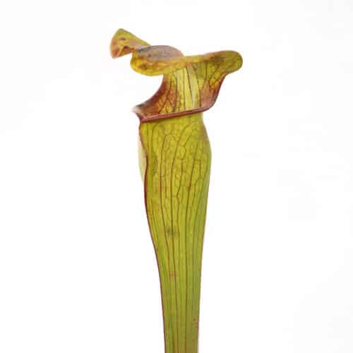 idyc0Jrq9descWpGOWQU.jpg idyc0Jrq9descWpGOWQU.jpg