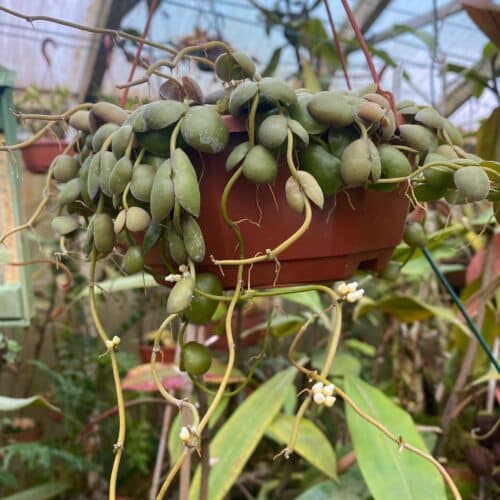 igtEbEojfXlJeVMDdtyU.jpg igtEbEojfXlJeVMDdtyU.jpg