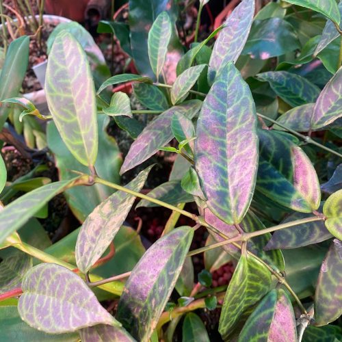 ilSd3FjBbk4eoabMWzdf.jpg ilSd3FjBbk4eoabMWzdf.jpg