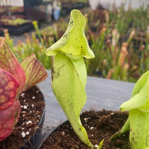 ixwbwSprBJrzHr92QVAq.jpg ixwbwSprBJrzHr92QVAq.jpg