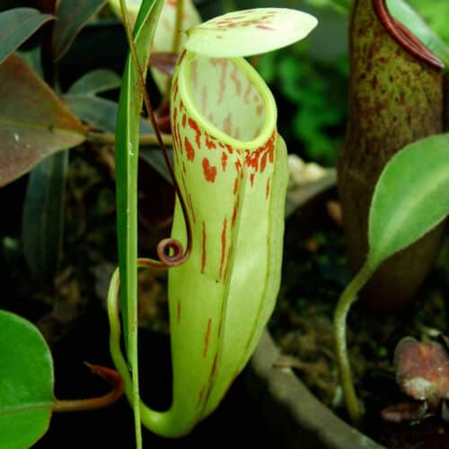 jHxARl9DksINtPYLMnc0.jpg jHxARl9DksINtPYLMnc0.jpg