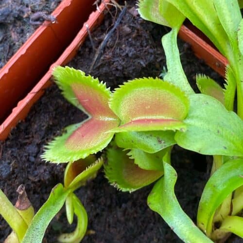 jKfVXx6OLidm2aBdge2L.jpg jKfVXx6OLidm2aBdge2L.jpg