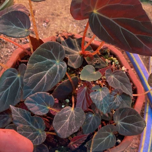 jaj0pZWJvanDHpd3mjKe.jpg jaj0pZWJvanDHpd3mjKe.jpg