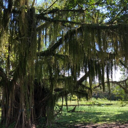 jcBthe3GqIAnrncslt40.jpg jcBthe3GqIAnrncslt40.jpg