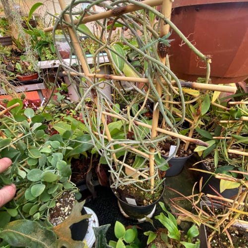 jm4WMR3Ndr2yq7RrJ5dZ.jpg jm4WMR3Ndr2yq7RrJ5dZ.jpg