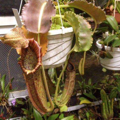 jxlqxoEVmyCxwLW7tge2.jpg jxlqxoEVmyCxwLW7tge2.jpg