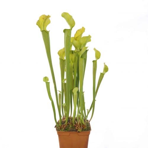 k21UbRsT8aqtY8J7XKCv.jpg k21UbRsT8aqtY8J7XKCv.jpg