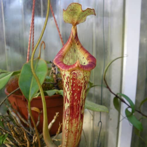 kG3eZjf15xiARvA60vaL.jpg kG3eZjf15xiARvA60vaL.jpg