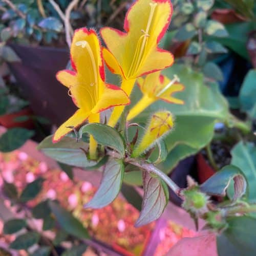 kQA725MciLqNwAz1Atke.jpg kQA725MciLqNwAz1Atke.jpg