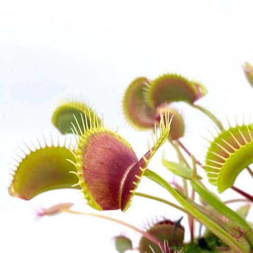 kRQpFb56dW710miZvpCC-1.jpg kRQpFb56dW710miZvpCC-1.jpg