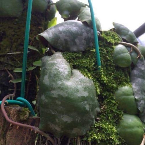 kS3GCXJ21Qj3WRvNRupt.jpg kS3GCXJ21Qj3WRvNRupt.jpg