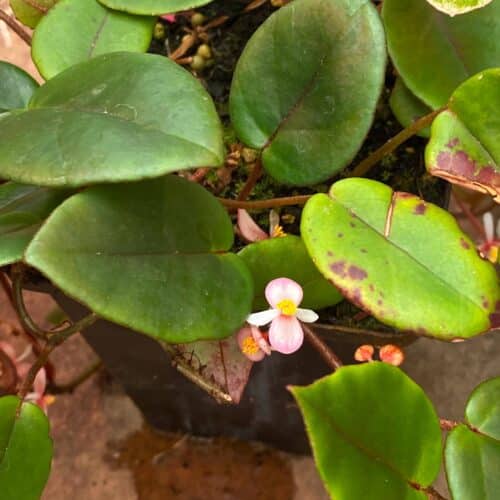 kwLwjXjMwU0ABRBwhGKO.jpg kwLwjXjMwU0ABRBwhGKO.jpg