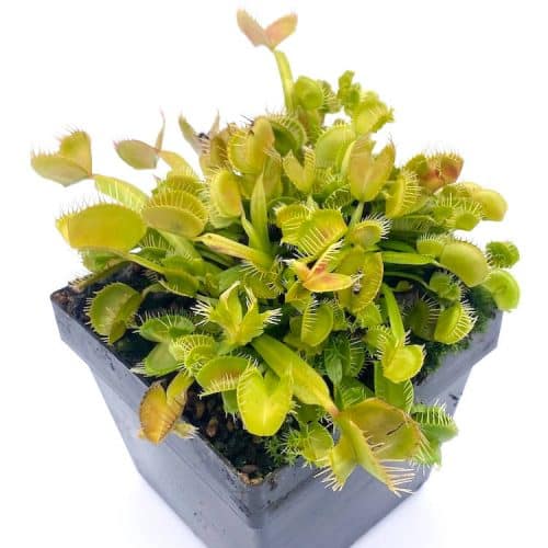 l1NaVPJOmYegSgCgQu73.jpg l1NaVPJOmYegSgCgQu73.jpg