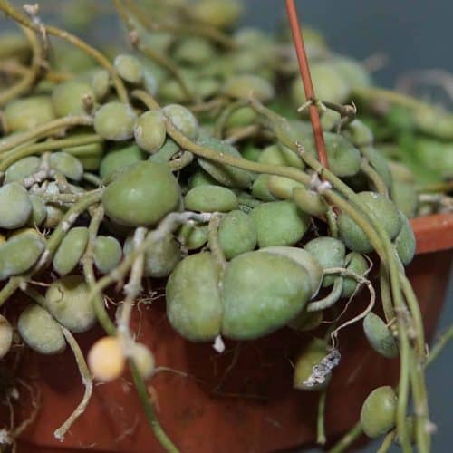 l2hD2A6Cgw40BKQ1D9or.jpg l2hD2A6Cgw40BKQ1D9or.jpg