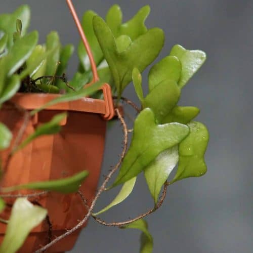 lOVDeRTpGIen2J6KANkP.jpg lOVDeRTpGIen2J6KANkP.jpg