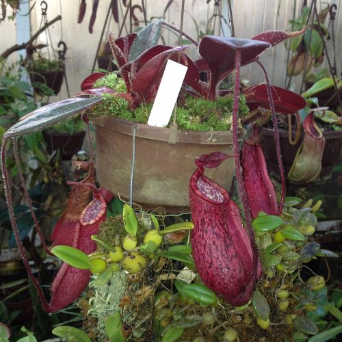 lUqJs4FUBIUkYtolv678.jpg lUqJs4FUBIUkYtolv678.jpg