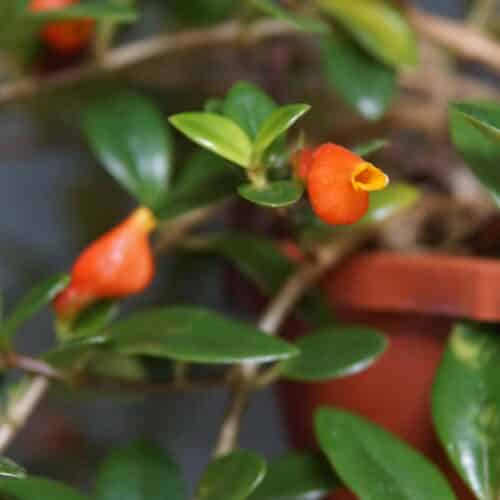 lYVc1R0DRu6MOFG9AgZP.jpg lYVc1R0DRu6MOFG9AgZP.jpg